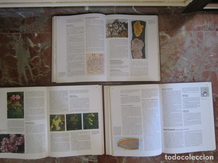 Libros: ENCICLOPEDIA DE LAS CIENCIAS SALVAT - Foto 7