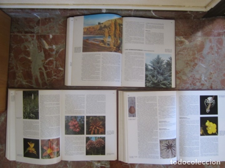 Libros: ENCICLOPEDIA DE LAS CIENCIAS SALVAT - Foto 9
