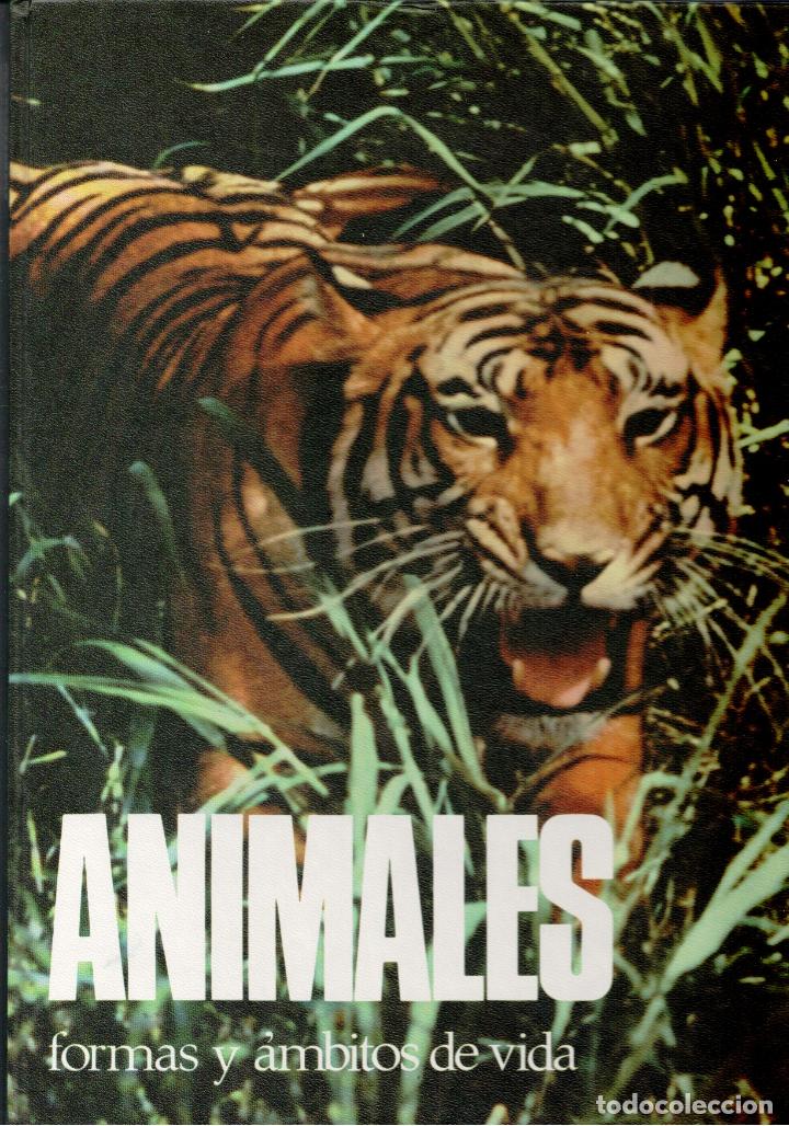 Libros: ANIMALES. FORMAS Y AMBITOS DE VIDA. - Dietmar Todt - Foto 1