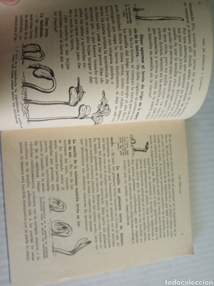 Libros: Vida de animales y plantas - Foto 3