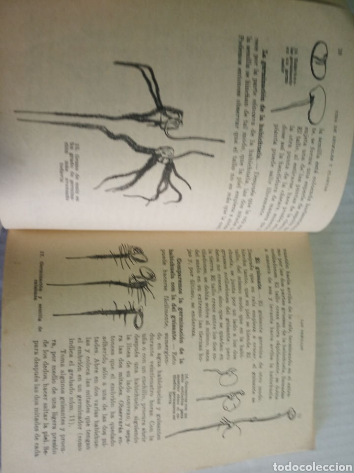Libros: Vida de animales y plantas - Foto 4