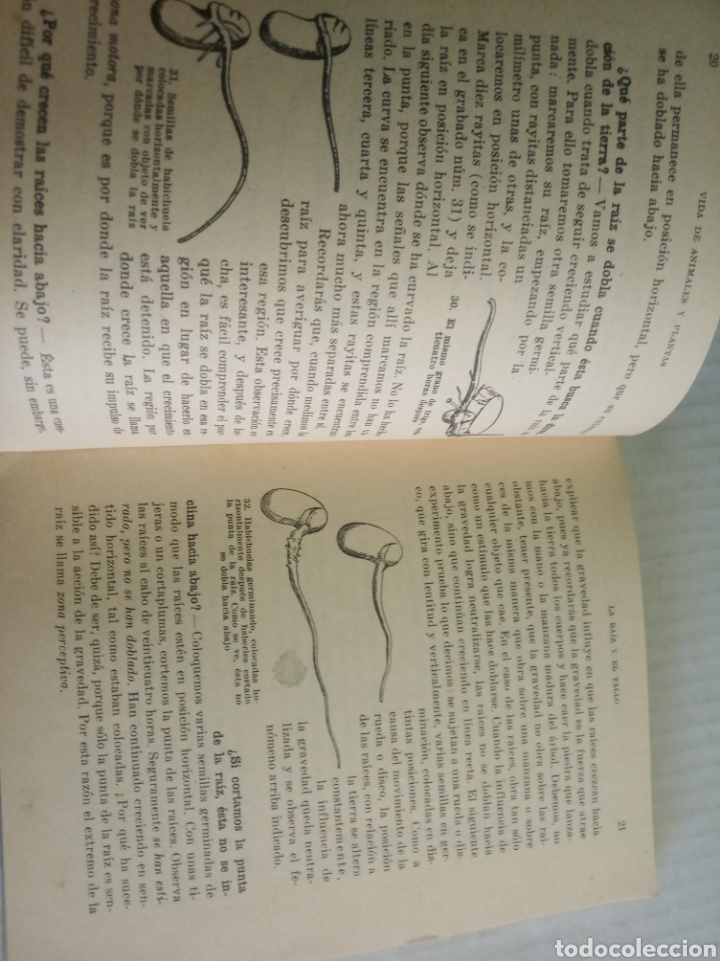Libros: Vida de animales y plantas - Foto 5