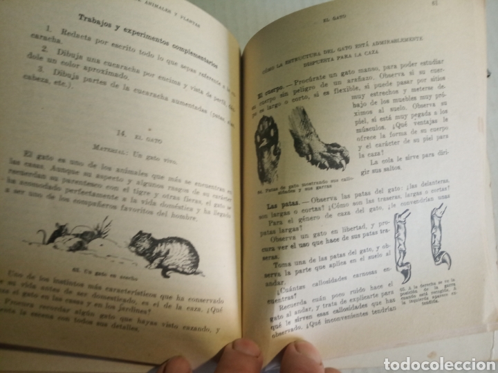 Libros: Vida de animales y plantas - Foto 8