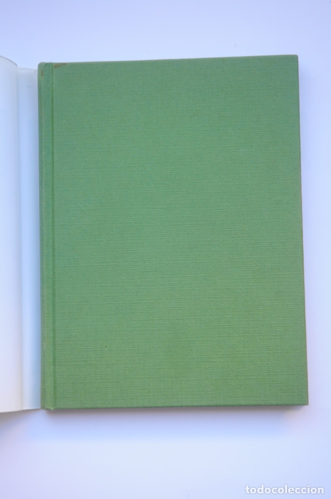 Libros: La cueva del Tolo&ntilde;o - ZAPATA LERGA, Pablo - Foto 2