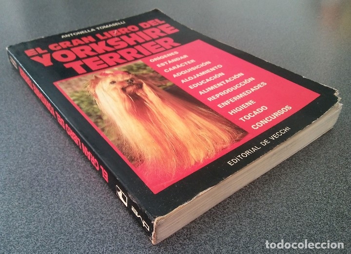 Libros: El Gran Libro del Yorkshire Terrier Antonella Tomaselli - Foto 5