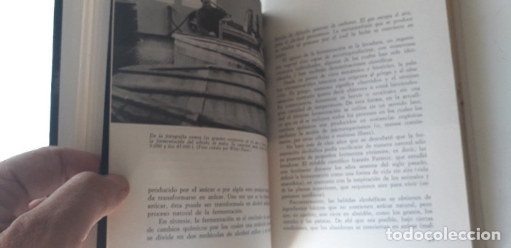 Libros: EL LIBRO DEL WHISKY - JOSE MAR&Iacute;A GOTARDA - Foto 9