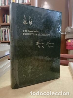 Libros: PREHISTORIA DE ASTURIAS de la edad de Piedra a la Romanizaci&oacute;n. - GOMEZ-TABANERA, J.M.