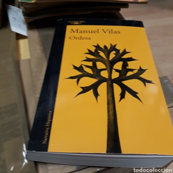 Libros: Manuel Vilas, Ordesa,Alfaguara - Foto 1