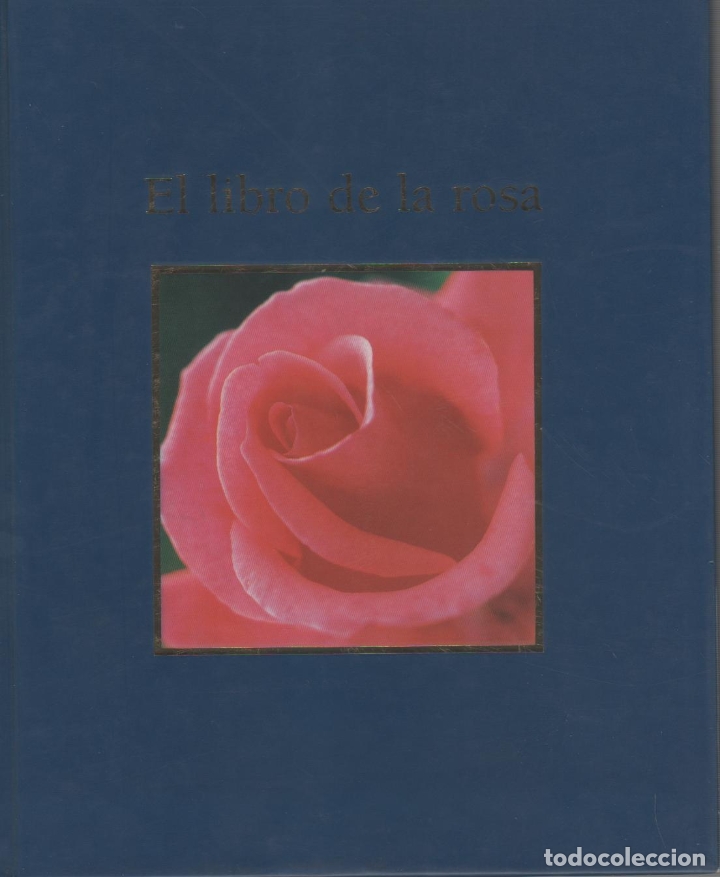 Libros: El libro de la rosa. - GAVARR&Oacute;N, Lola; ROJO, M.&ordf; Luisa: - Foto 1