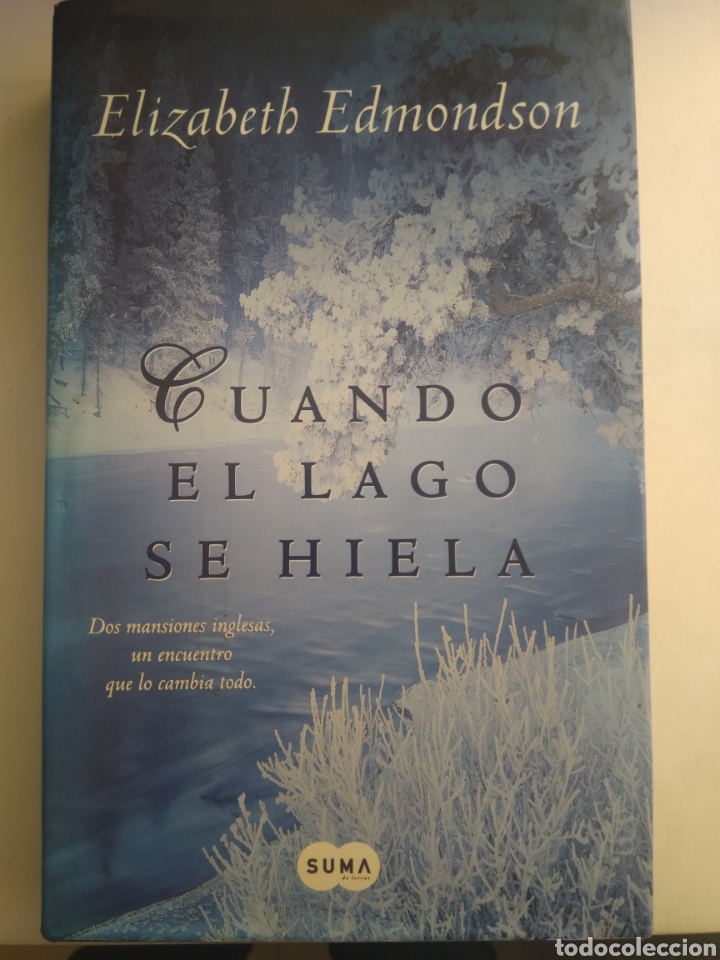 Libros: CUANDO EL LAGO SE HIELA/ELIZABETH EDMONDSON - Foto 1