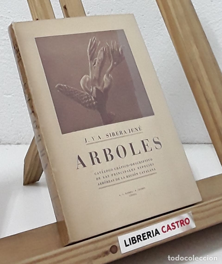 Libros: &Aacute;rboles - Jorge y Antonio Sirera Jen&eacute; - Foto 1