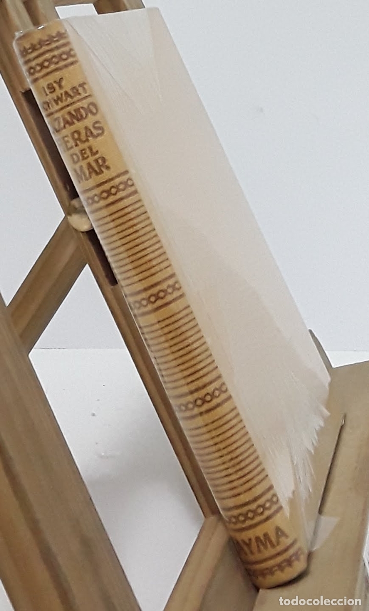 Libros: Cazando fieras del mar - Marcel Isy-Schwart - Foto 2