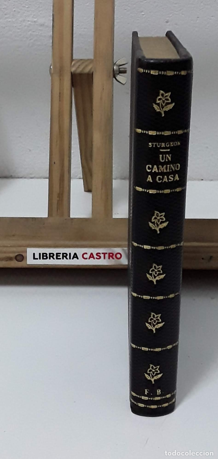 Libros: Un camino a casa - Theodore Sturgeon - Foto 2