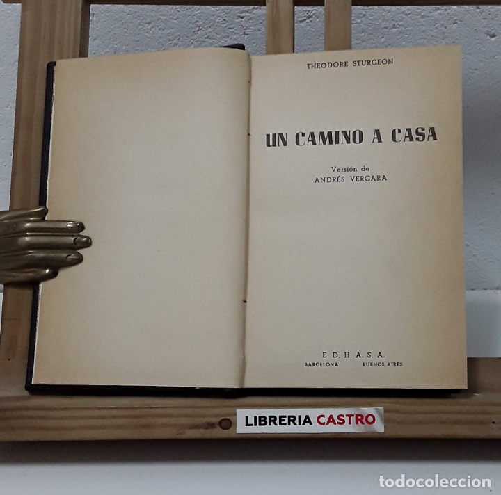 Libros: Un camino a casa - Theodore Sturgeon - Foto 1