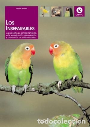 Libros: LOS INSEPARABLES - Ravazzi,Gianni - Foto 1