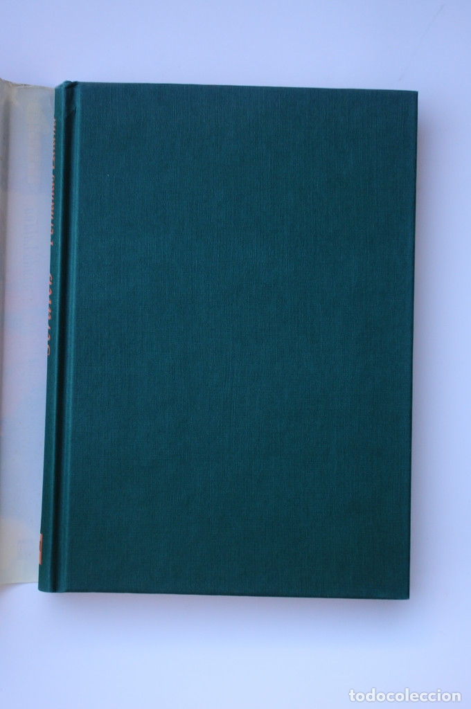 Libros: Scratch - LALANA, Fernando - Foto 2