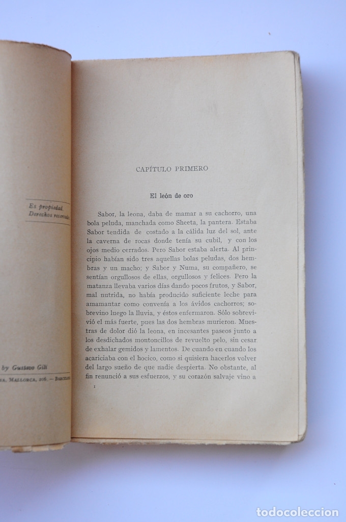 Libros: Tarz&aacute;n y el le&oacute;n de oro - BURROUGHS, Edgard Rice - Foto 3