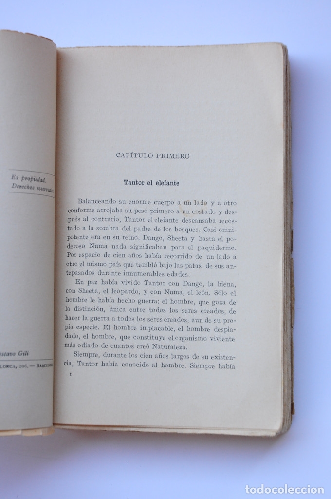 Libros: Tarz&aacute;n el gran jeque - BURROUGHS, Edgard Rice - Foto 3