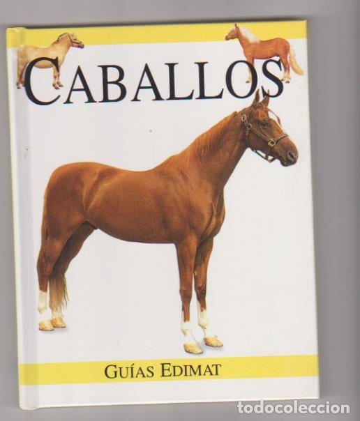 Libros: Caballos. Gu&iacute;as edimat 1999. SIN USAR - Foto 1