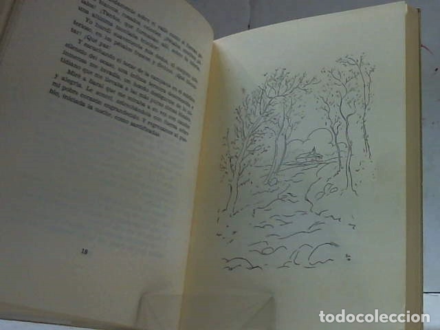 Libros: LA NI&Ntilde;A SARAL CRISTINA AMENEDO - Foto 2