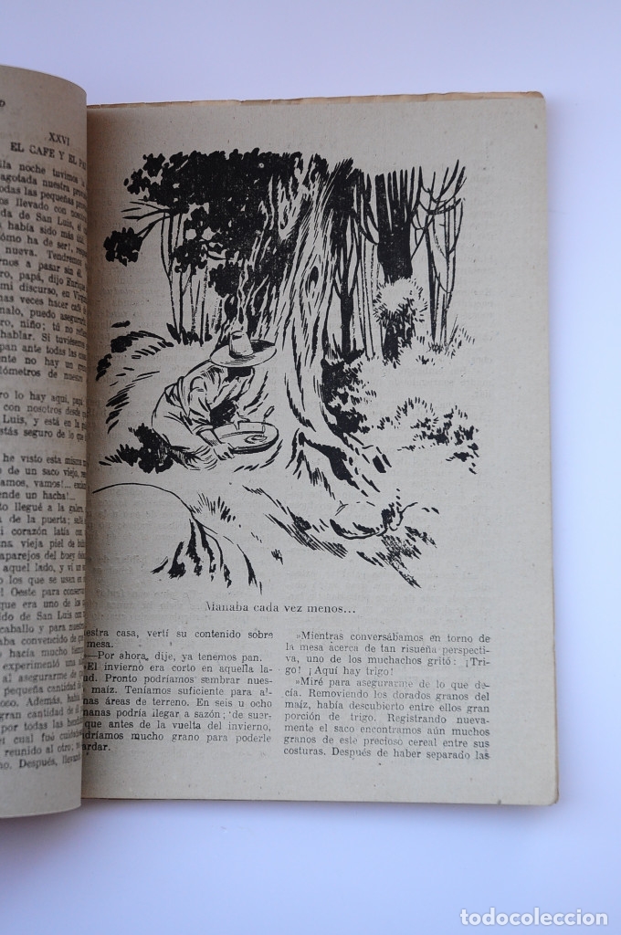 Libros: El rancho del desierto - REID, Mayne - Foto 4