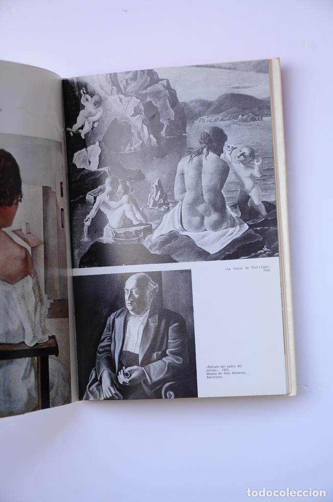 Libros: Dal&iacute; - FERN&Aacute;NDEZ MOLINA, Antonio - Foto 3
