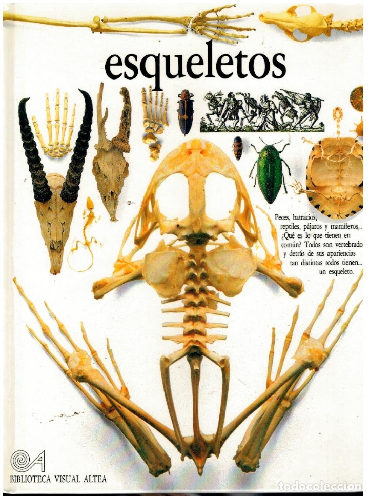 Libros: ESQUELETOS. - Foto 1