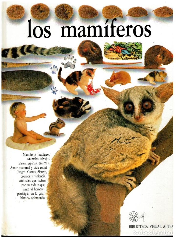 Libros: LOS MAM&Iacute;FEROS. - Foto 1