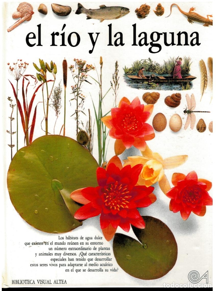 Libros: EL R&Iacute;O Y LA LAGUNA. 2&ordf; reimpr. - Foto 1
