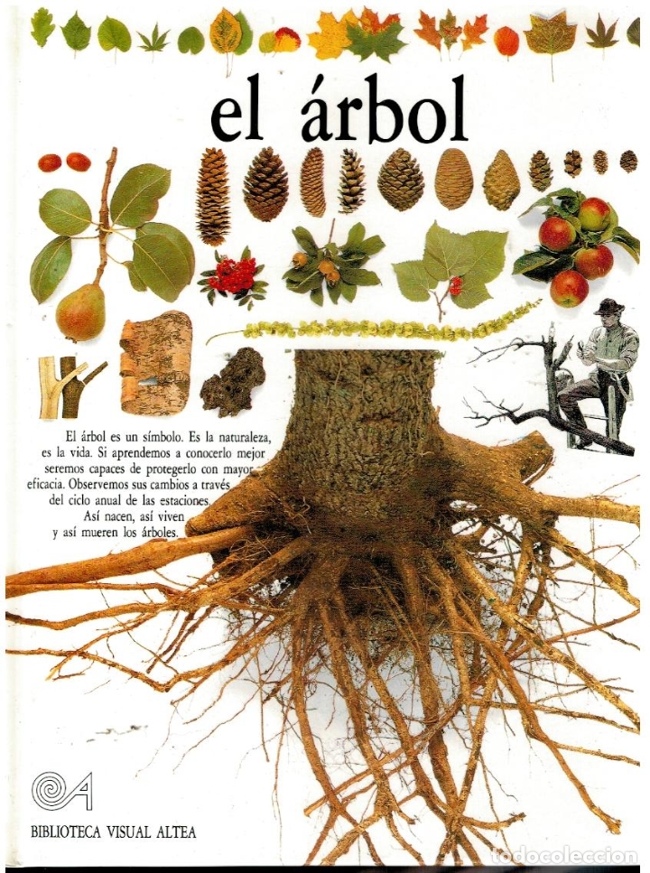 Libros: EL &Aacute;RBOL. - Foto 1
