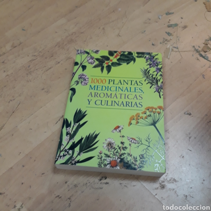 100 plantas medicinales arom&aacute;ticas y culinarias, Ed Optima
