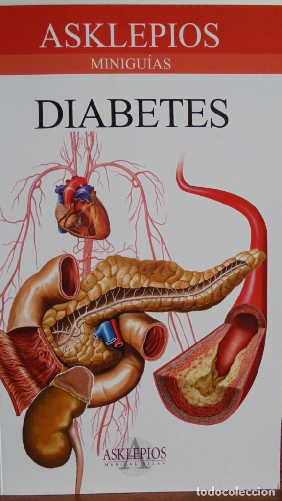 Libros: DIABETES - VARIOS AUTORES - Foto 1