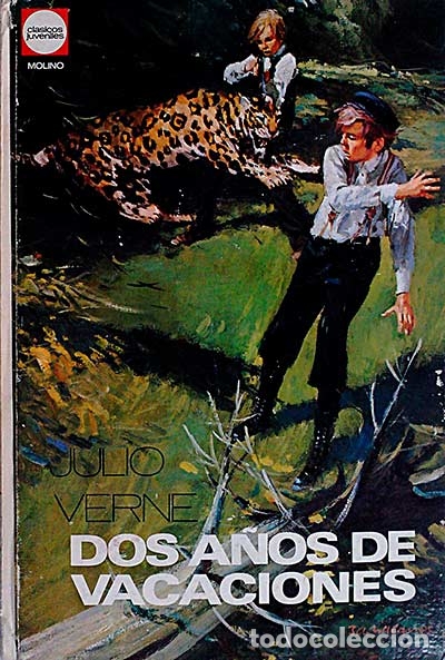 Libros: Dos a&ntilde;os de vaciones - Julio Verne - Foto 1