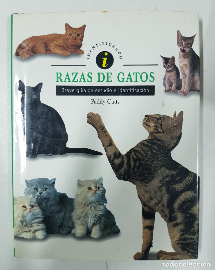 Libros: Razas de Gatos  / Paddy Cutts - Foto 1