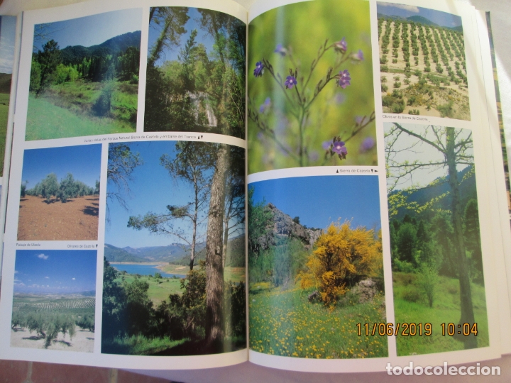 Libros: ANDALUC&Iacute;A - EDICIONES OTERMIN. - Foto 4