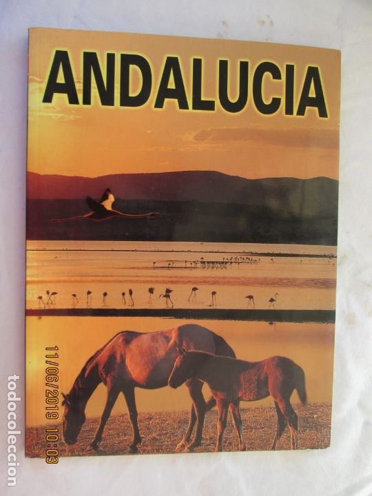 Libros: ANDALUC&Iacute;A - EDICIONES OTERMIN. - Foto 1