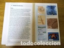 Libros: Intensive Care - tor Aguilera - Foto 1