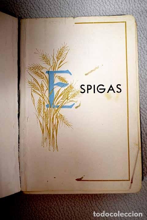 Libros: Espigas - Foto 1