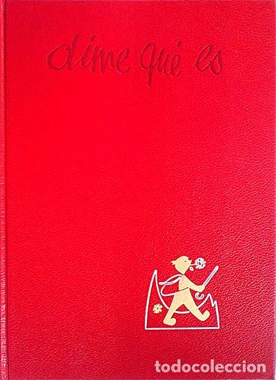 Libros: Enciclopedia b&aacute;sica. Dime qu&eacute; es - Varios - Foto 1