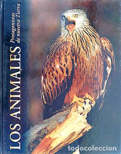 Libros: Los animales protagonistas de nuestras tierra. Bosques - Varios - Foto 1