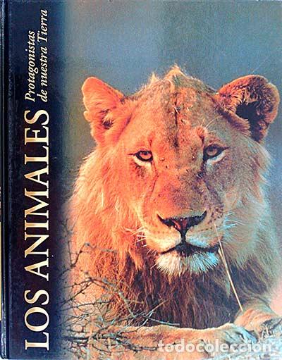 Libros: Los animales protagonistas de nuestras tierra. Las sabanas - Varios - Foto 1