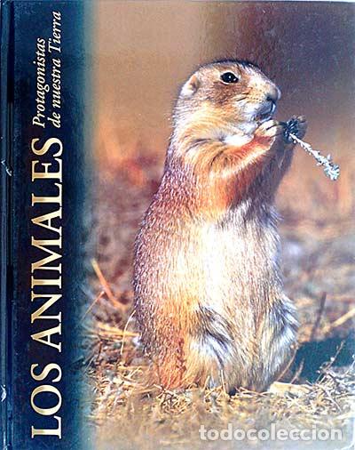 Libros: Los animales. Protagonistas de nuestra Tierra. Praderas y estepas - Varios - Foto 1