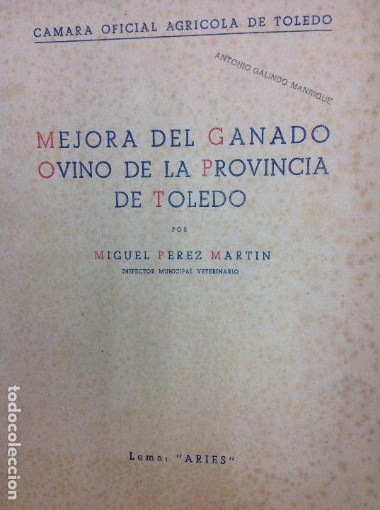 books: Mejora del ganado ovino de la provincia de Toledo por Miguel P&eacute;rez Mart&iacute;n