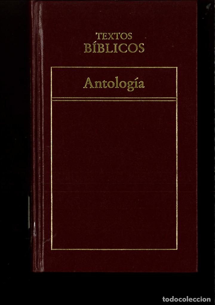 Libros: ANTOLOG&Iacute;A. TEXTOS B&Iacute;BLICOS - Sin autor - Foto 1