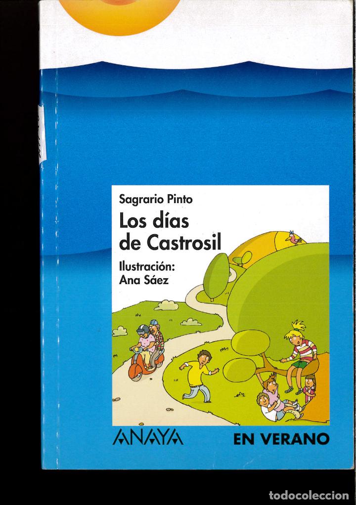 Libros: LOS DIAS DE CASTROSIL - SAGRARIO PINTO - Foto 1