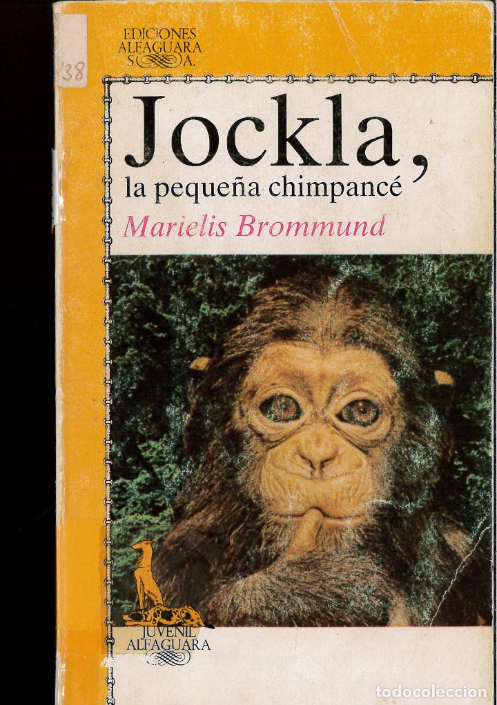 Libros: Jokla, la peque&ntilde;a chimpance - Marielis Brommund - Foto 1