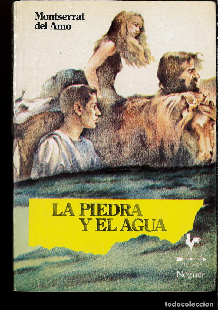 Libros: LA PIEDRA Y EL AGUA - Montserrat del AMO - Foto 1