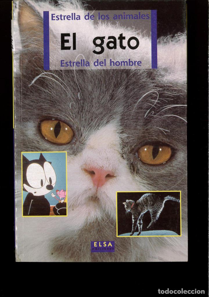 Libros: GATO EL - VARIOS - Foto 1