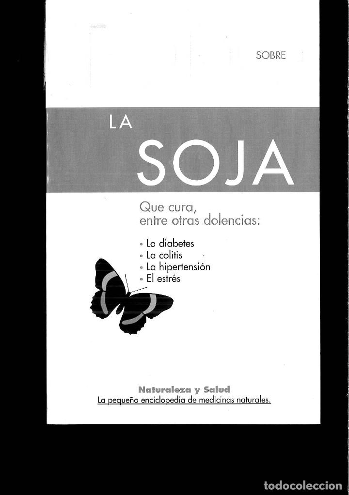 Libros: Todo sobre la soja - Walter Panetta; Michele Basile; Vitorio Ceriani - Foto 1