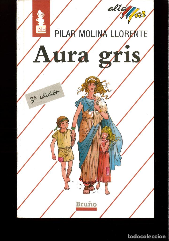 Libros: Aura gris - Pilar Molina Llorente - Foto 1